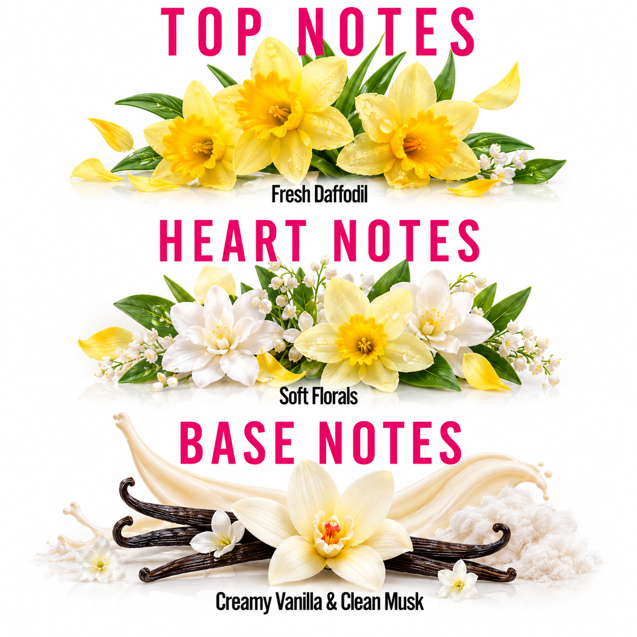 A graphic layout with three floral scent sections labeled TOP NOTES, HEART NOTES, and BASE NOTES. The top section shows yellow daffodils with the text Fresh Daffodil.