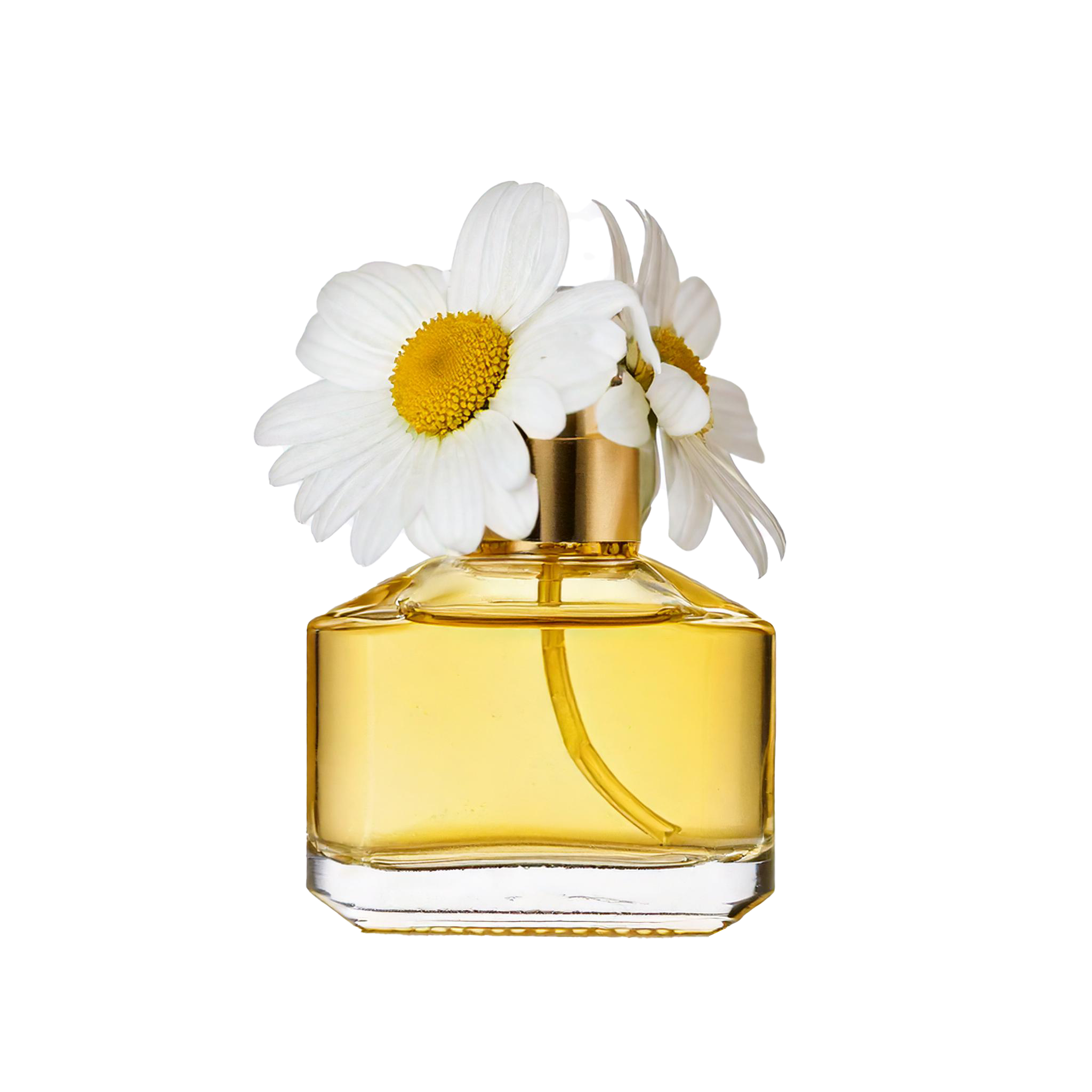 Daisy's Fragrance Oil