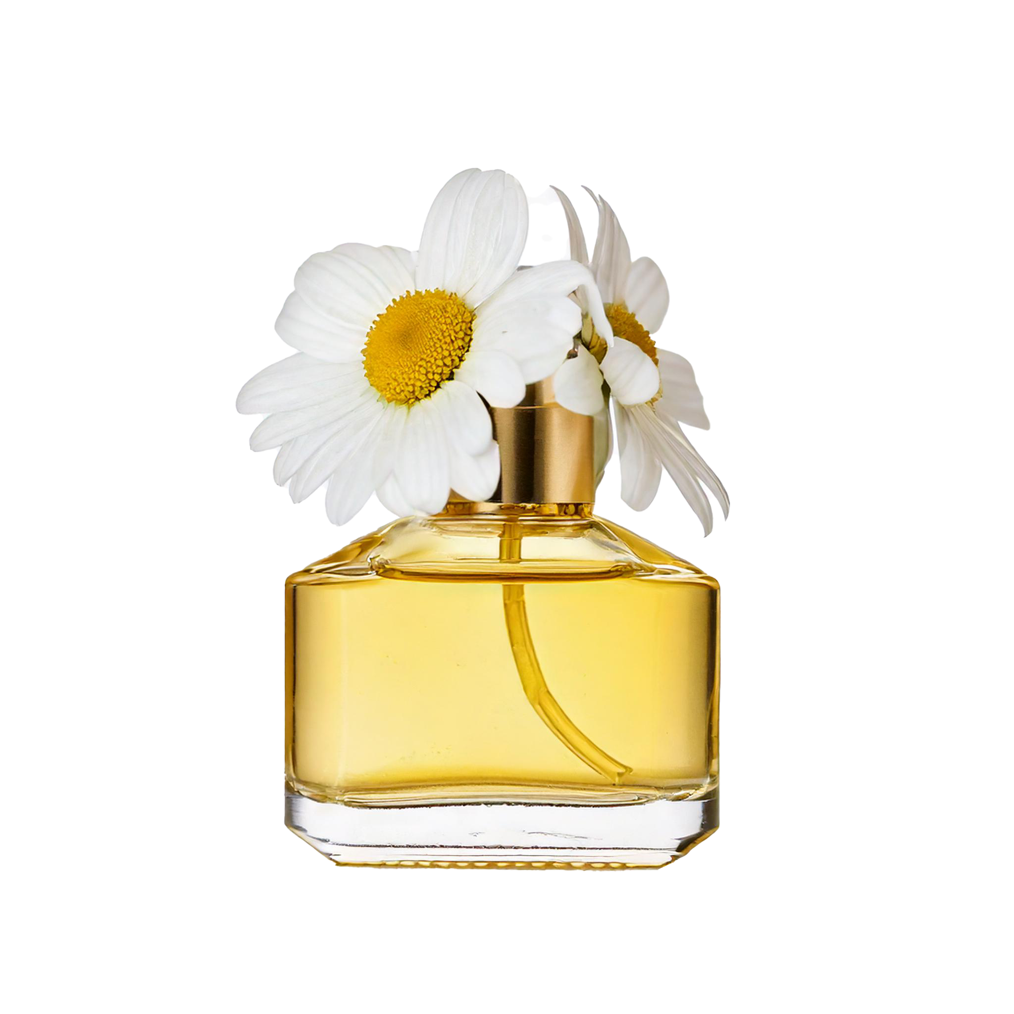 A clear bottle containing yellow liquid fragrance oil, topped with a spray pump, adorned with a white flower with yellow center.