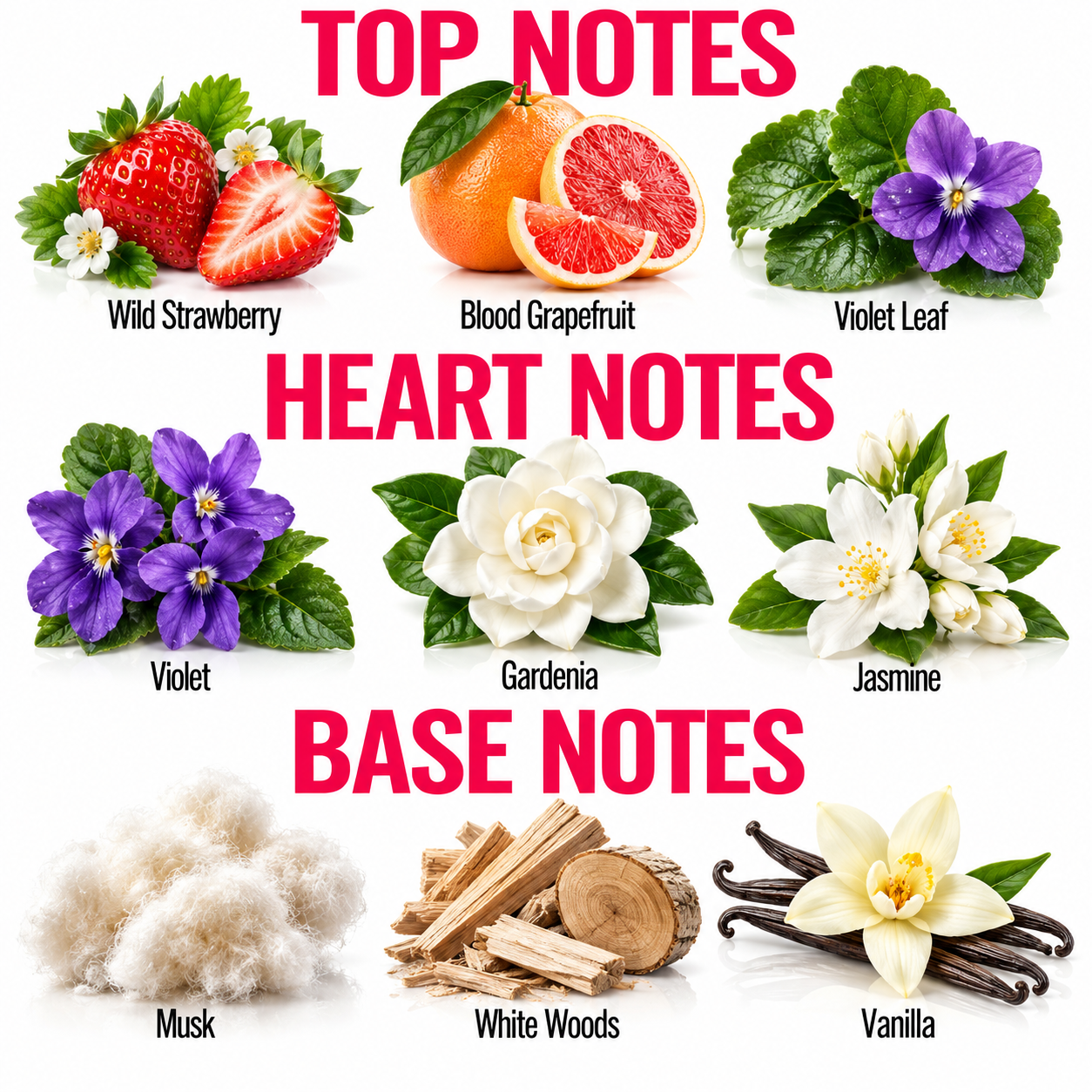 A fragrance notes graphic with the headings TOP NOTES, HEART NOTES, and BASE NOTES on a white background. Top notes shown are Wild Strawberry, Blood Grapefruit, and Violet Leaf.