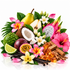 A vibrant tropical fruit and spice arrangement on a white background, featuring pink hibiscus flowers, a yellow pear, a halved coconut, dragon fruit, lime, passion fruit, vanilla beans, cinnamon sticks, and amber honeycomb.