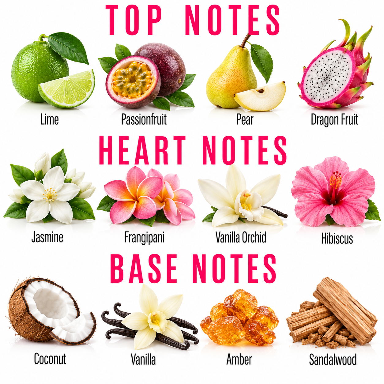 A fragrance scent chart titled 'TOP NOTES', 'HEART NOTES', and 'BASE NOTES' with labeled illustrations of citrus, fruit, flowers, and wood notes including lime, passionfruit, pear, dragon fruit, jasmine, frangipani, vanilla orchid, hibiscus, coconut, vanilla, amber, and sandalwood on a white background.