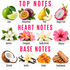 A fragrance scent chart titled 'TOP NOTES', 'HEART NOTES', and 'BASE NOTES' with labeled illustrations of citrus, fruit, flowers, and wood notes including lime, passionfruit, pear, dragon fruit, jasmine, frangipani, vanilla orchid, hibiscus, coconut, vanilla, amber, and sandalwood on a white background.