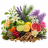 A colorful botanical and botanical ingredient arrangement on a white background, including citrus fruits, berries, flowers, leaves, bark, and amber capsules.