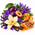 A styled botanical product arrangement on a white background featuring dark purple plums, purple flowers, green leaves, vanilla beans, cinnamon sticks, amber honey, and a cream orchid flower.