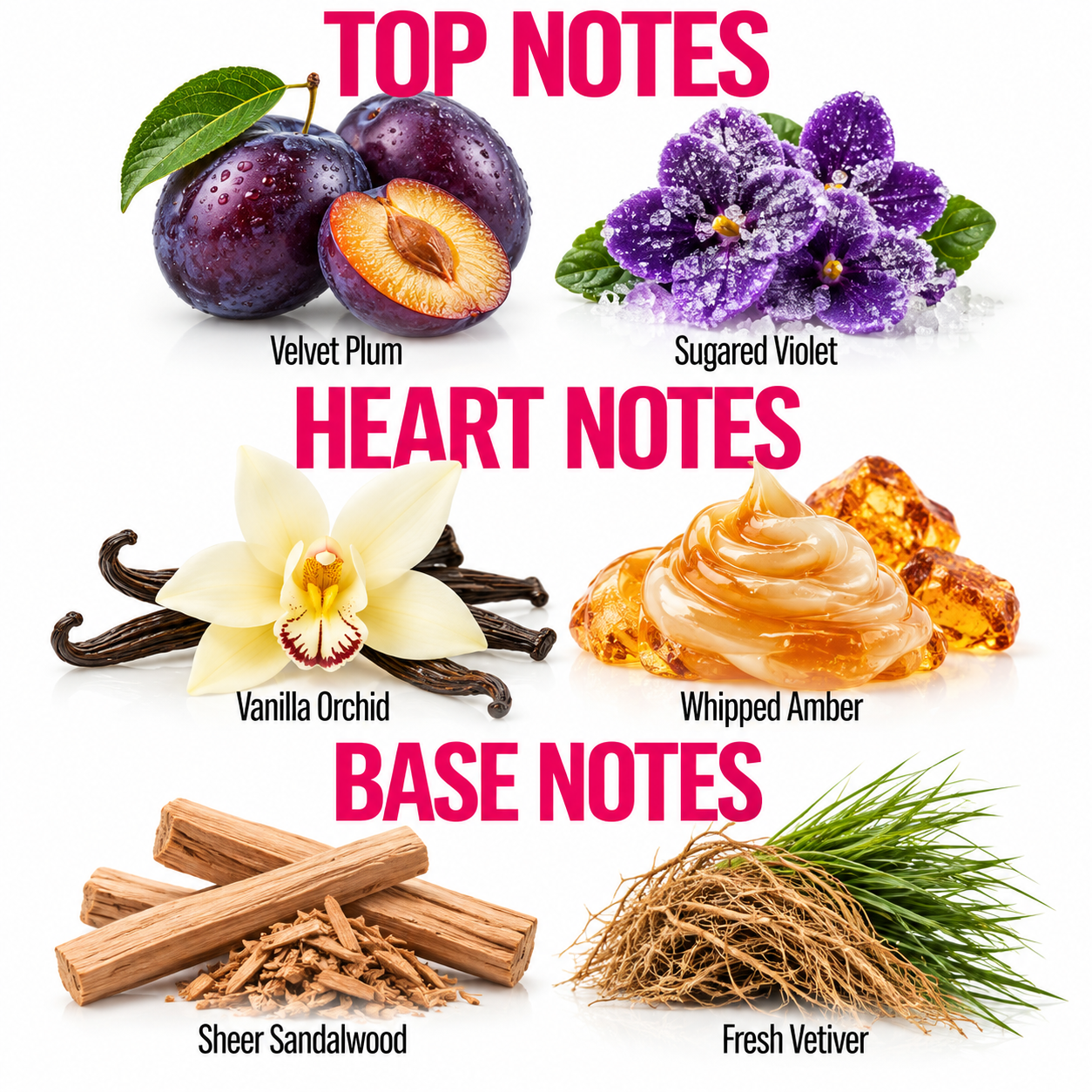 A fragrance notes graphic with six ingredient-style photos and labels: Velvet Plum, Sugared Violet, Vanilla Orchid, Whipped Amber, Sheer Sandalwood, and Fresh Vetiver. Large pink text reads TOP NOTES, HEART NOTES, and BASE NOTES on a white background.