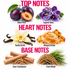 A fragrance notes graphic with six ingredient-style photos and labels: Velvet Plum, Sugared Violet, Vanilla Orchid, Whipped Amber, Sheer Sandalwood, and Fresh Vetiver. Large pink text reads TOP NOTES, HEART NOTES, and BASE NOTES on a white background.