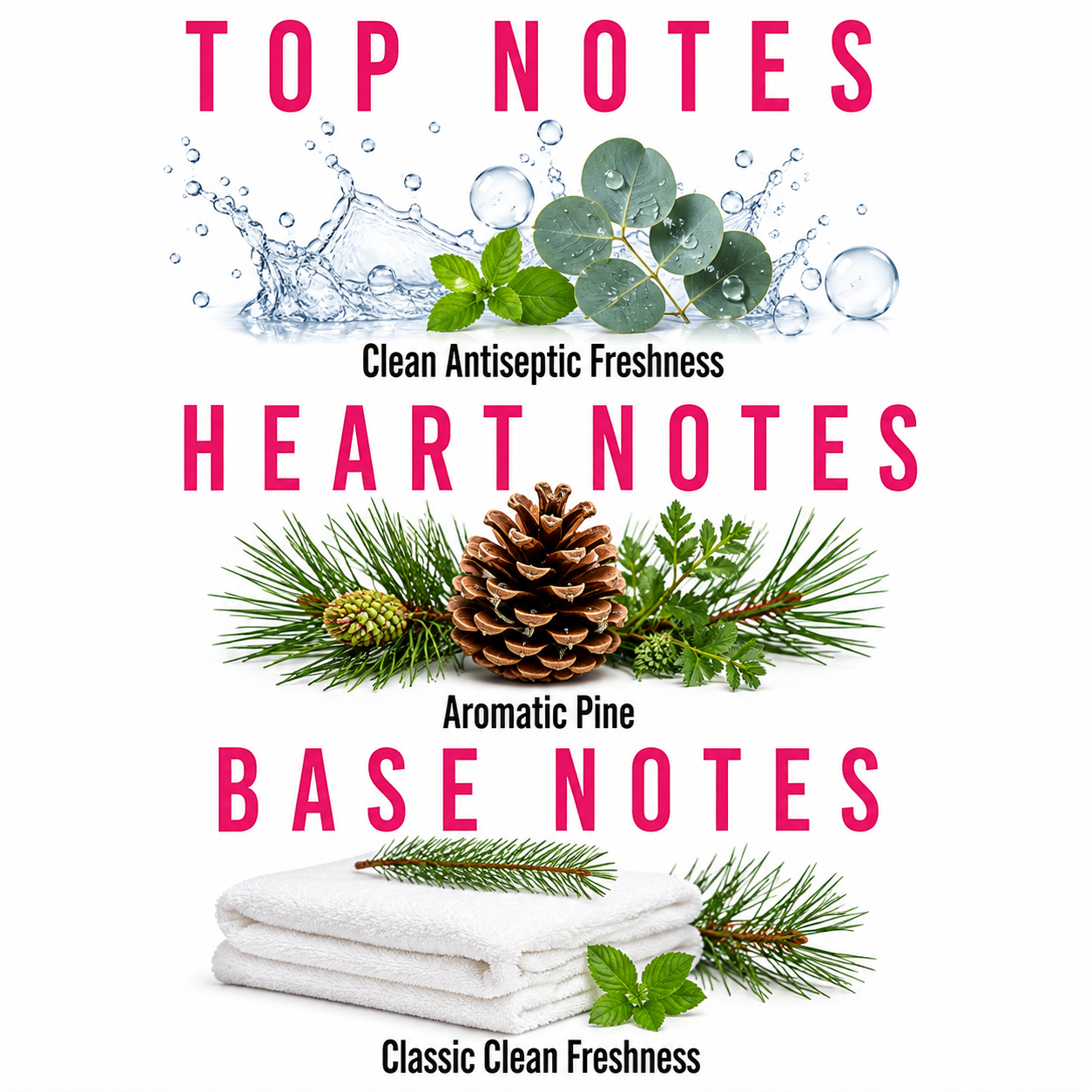 A fragrance notes graphic on a white background with pink text reading 'TOP NOTES', 'HEART NOTES', and 'BASE NOTES'. Top notes show water, eucalyptus leaves, and mint.