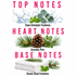 A fragrance notes graphic on a white background with pink text reading 'TOP NOTES', 'HEART NOTES', and 'BASE NOTES'. Top notes show water, eucalyptus leaves, and mint.