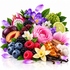 A vibrant and colorful botanical fragrance blend featuring fresh fruits like dragon fruit, raspberries, blueberries, and a peach, mixed with flowers including pink roses, purple blossoms, and vanilla beans, alongside amber resin and white cotton, all arranged on a clean white background.