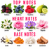 A fragrance scent chart titled 'TOP NOTES', 'HEART NOTES', and 'BASE NOTES' showing illustrated botanical and material samples with labels: Dewberry, Blueberry, Raspberry, Bergamot, Jasmine, Peony, Freesia, Magnolia, Vanilla, Amber, Musk, and Sandalwood.