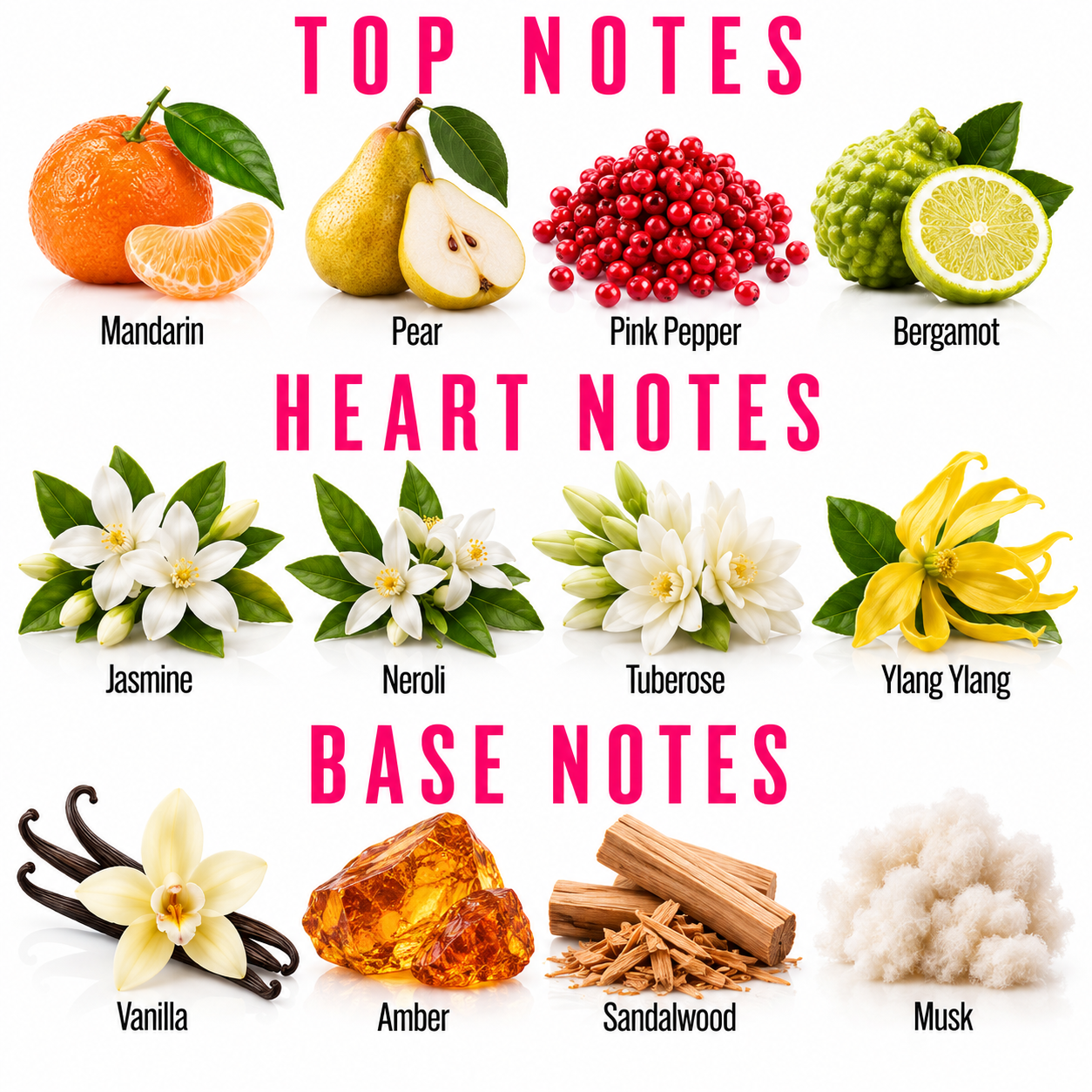 A fragrance notes graphic with pink text reading TOP NOTES, HEART NOTES, and BASE NOTES above illustrated ingredients: mandarin, pear, pink pepper, bergamot, jasmine flowers, neroli flowers, tuberose flower, ylang ylang flower, vanilla beans, amber, sandalwood, and musk.
