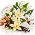 A styled botanical arrangement on a white background featuring white lily-of-the-valley flowers, cream-colored powder, cotton bolls, brown bark pieces, dark vanilla beans, and green leaves, with a folded white towel in the background.