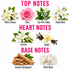 A fragrance notes graphic on a white background with pink text reading TOP NOTES, HEART NOTES, and BASE NOTES. Top notes shown include White Flowers, Rose, Lily of the Valley, and Paperwhites.