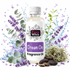 A bottle of Fizzy Whiz 'Dream On' fragrance oil centered against a white background, surrounded by decorative botanical elements including purple lavender sprigs, green eucalyptus leaves, dried lichen, and brown seeds, with blue water droplets and splashes in the background.