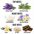A fragrance notes graphic on a white background with labeled sections for Top Notes, Heart Notes, and Base Notes. Top Notes include Calming Lavender and Soft Herbal Freshness; Heart Notes include Creamy Sweetness and Gentle Floral Warmth; Base Notes include Vanilla, Soft Musk, and Comforting Depth.