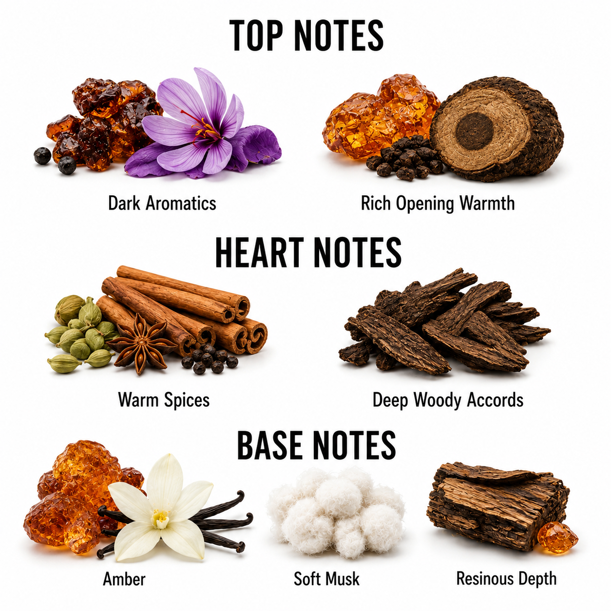 A fragrance notes graphic on a white background with the headings TOP NOTES, HEART NOTES, and BASE NOTES. Each section shows several labeled scent ingredients: dark amber-like pieces, a purple flower, warm amber and bark, cinnamon sticks, star anise, green pods, wood chips, soft white fibers, and resinous wood pieces.