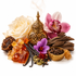 An ornate gold incense burner surrounded by natural ingredients including a white rose, pink orchid, purple flower, vanilla beans, cardamom pods, cinnamon bark, dried fruits, and amber crystals on a white background.