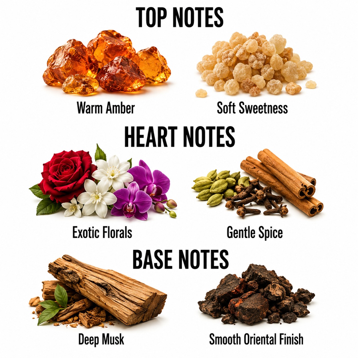A fragrance notes graphic on a white background with six ingredient-style photos and text labels: Warm Amber, Soft Sweetness, Exotic Florals, Gentle Spice, Deep Musk, and Smooth Oriental Finish. The top section reads TOP NOTES, the middle reads HEART NOTES, and the bottom reads BASE NOTES.