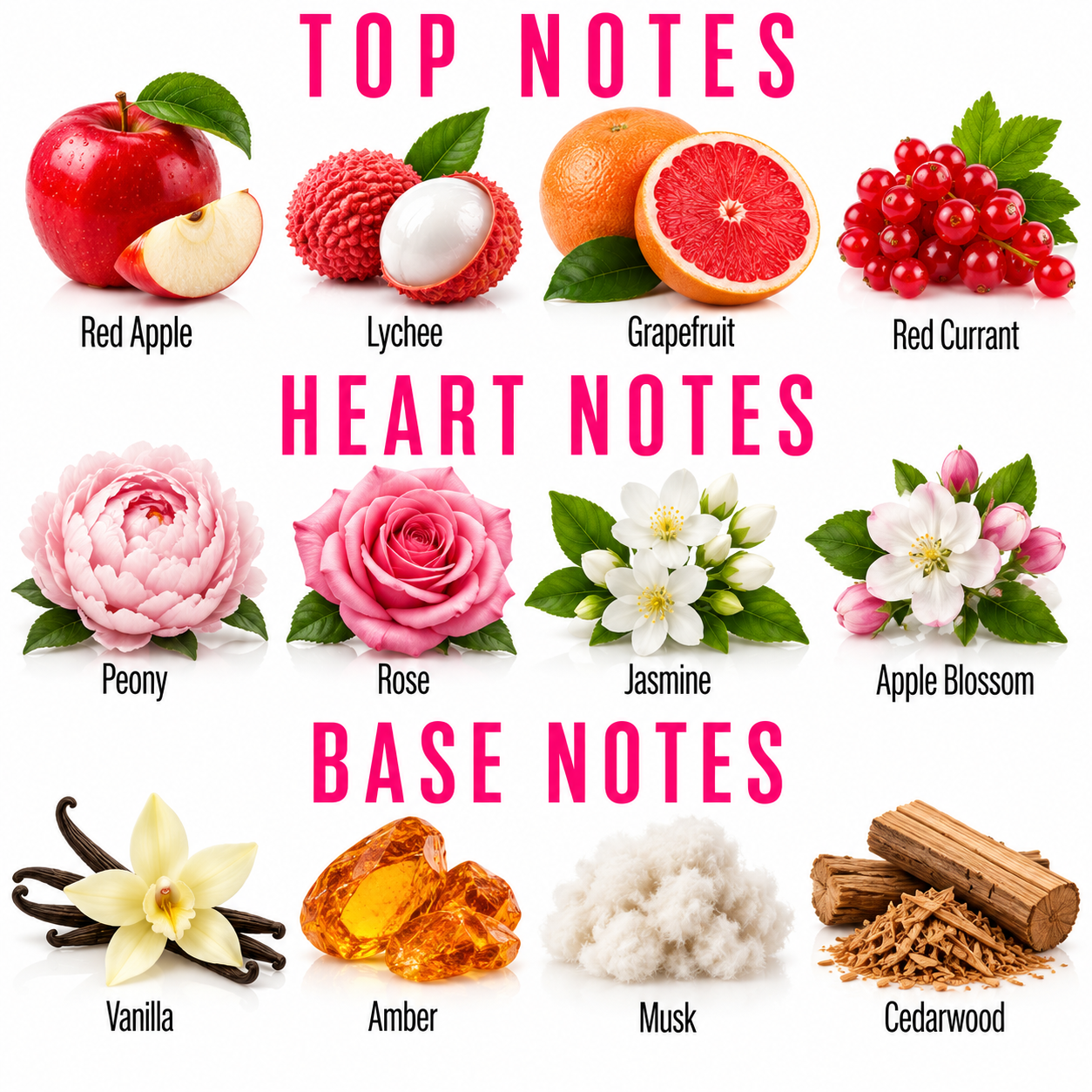 A fragrance notes graphic showing top, heart, and base notes with illustrated ingredients: red apple, lychee, grapefruit, red currant, peony, rose, jasmine, apple blossom, vanilla, amber, musk, and cedarwood, labeled on a white background.