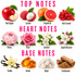 A fragrance notes graphic showing top, heart, and base notes with illustrated ingredients: red apple, lychee, grapefruit, red currant, peony, rose, jasmine, apple blossom, vanilla, amber, musk, and cedarwood, labeled on a white background.