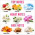 A fragrance notes chart on a white background with pink headers reading TOP NOTES, HEART NOTES, and BASE NOTES. Top notes shown are Crisp Apple, Fresh Citrus, and Breezy Ozone; heart notes are Lily, Jasmine, and Orchid; base notes are Autumn Leaves, Sugar, and Musk.