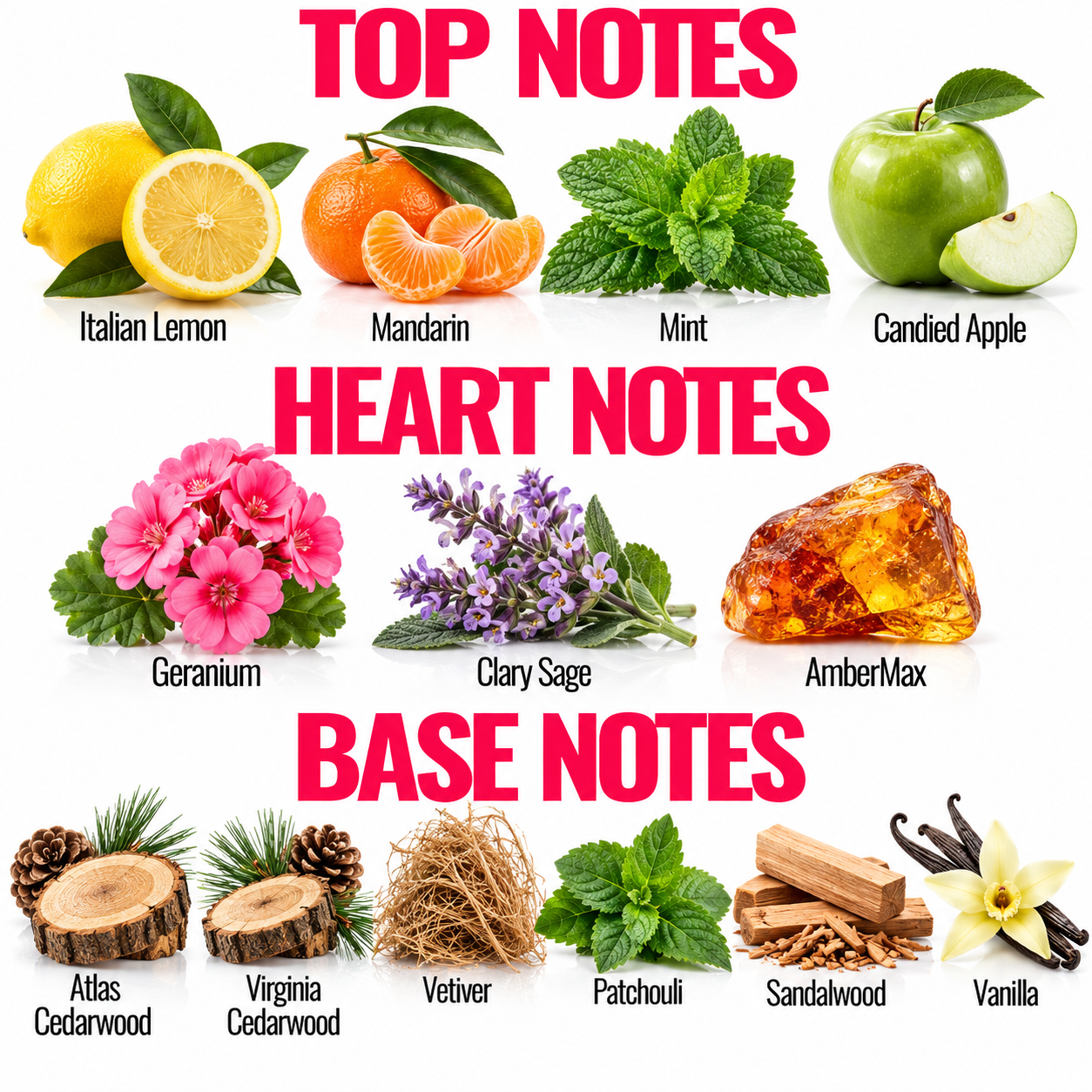 A fragrance notes chart with labeled fruit, flowers, herbs, wood, and vanilla pieces under the headings TOP NOTES, HEART NOTES, and BASE NOTES on a white background.