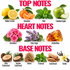 A fragrance notes chart with labeled fruit, flowers, herbs, wood, and vanilla pieces under the headings TOP NOTES, HEART NOTES, and BASE NOTES on a white background.