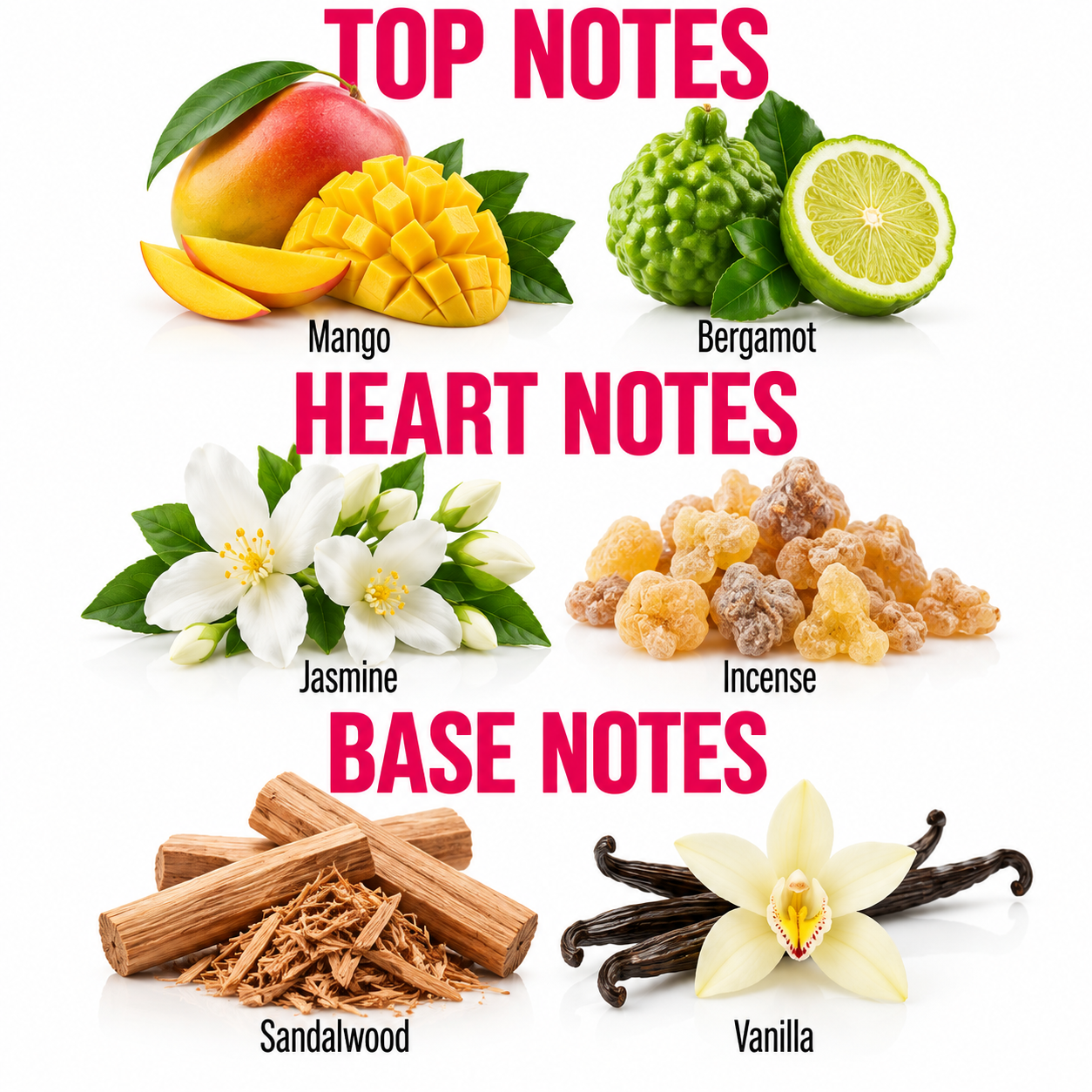A fragrance notes graphic with the headings TOP NOTES, HEART NOTES, and BASE NOTES on a white background. The top notes include mango, bergamot, jasmine, and incense, shown as fruit, flowers, and a pile of amber resin.