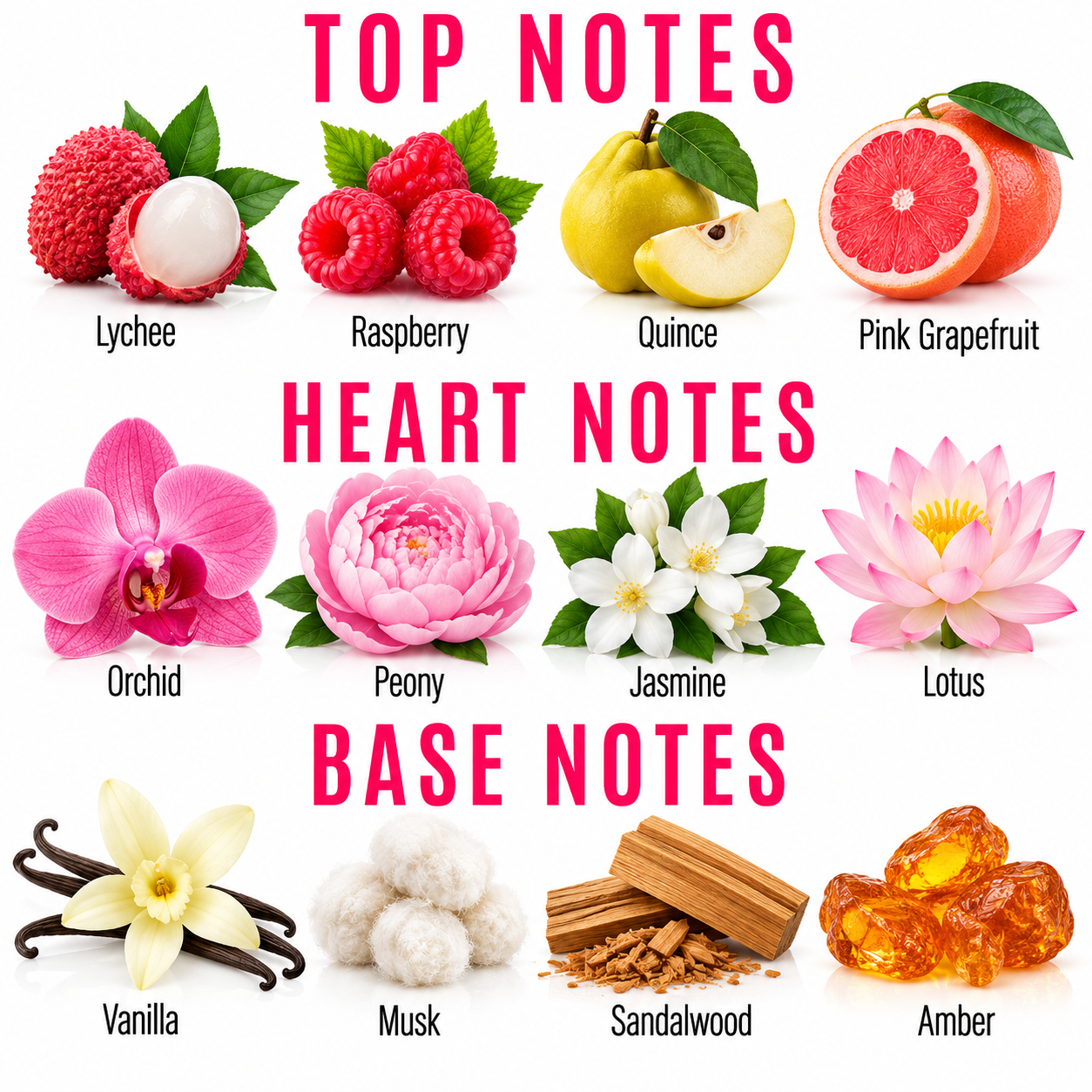 A fragrance notes graphic with pink text reading TOP NOTES, HEART NOTES, and BASE NOTES. Top notes shown are Lychee, Raspberry, Quince, and Pink Grapefruit with fruit illustrations.