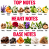 A botanical reference chart titled 'TOP NOTES', 'HEART NOTES', and 'BASE NOTES' showing illustrated and photographed herbs, flowers, citrus, wood, and leather samples with labeled names such as lavender, mandarin orange, hawthorn, nutmeg, cedar, bergamot, chamomile, lemon, nutmeg, hivesuckle, carnation, sandalwood, violet leaf, jasmine, lily of the valley, cedar, leather, tonka bean, amber, patchouli, musk, and vetiver.