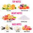 A fragrance notes graphic with the headings TOP NOTES, HEART NOTES, and BASE NOTES. Under TOP NOTES, citrus slices are labeled Fizzy Citrus and sugar-coated fruit candies are labeled Sweet Fruit Accord.