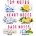A fragrance notes graphic with large pink text reading TOP NOTES, HEART NOTES, and BASE NOTES over a white background. Top notes include a blue water splash labeled Sparkling Fresh Notes and a yellow lemon slice with green leaves labeled Crisp Brightness.