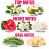 A fragrance notes graphic on a white background with large pink text reading TOP NOTES, HEART NOTES, and BASE NOTES. Top notes shown include orange blossom flowers, a coconut half with coconut water, flamingo flower, Brazilian gardenia, and white rose petals.