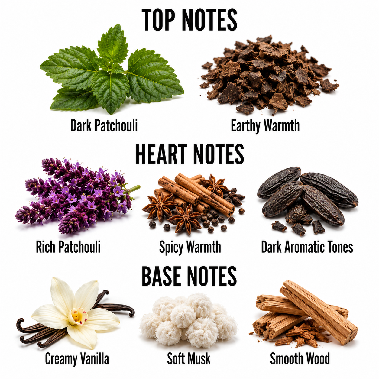 A labeled fragrance notes graphic on a white background showing top, heart, and base note ingredients: green mint leaves, dark brown patchouli pieces, purple flowers, cinnamon sticks and star anise, cocoa beans, creamy vanilla beans, white musk balls, and wood pieces. Text labels identify each note.