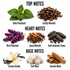 A labeled fragrance notes graphic on a white background showing top, heart, and base note ingredients: green mint leaves, dark brown patchouli pieces, purple flowers, cinnamon sticks and star anise, cocoa beans, creamy vanilla beans, white musk balls, and wood pieces. Text labels identify each note.