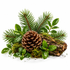 A natural holiday arrangement featuring a pinecone, evergreen branches, mossy log, and green leaves on a white background.