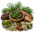 Natural herbal and botanical ingredients arranged on a white background, including pine needles, pinecones, a wood slice, green moss, pale green lichen-like patches, and small amber/green crystals.
