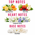 A fragrance notes graphic on a white background with pink and black text reading 'TOP NOTES', 'HEART NOTES', and 'BASE NOTES'. Top notes show citrus and juicy fruits; heart notes show white, blue, and purple flowers; base notes show fluffy white cotton and a white flower labeled 'Clean Musk'.