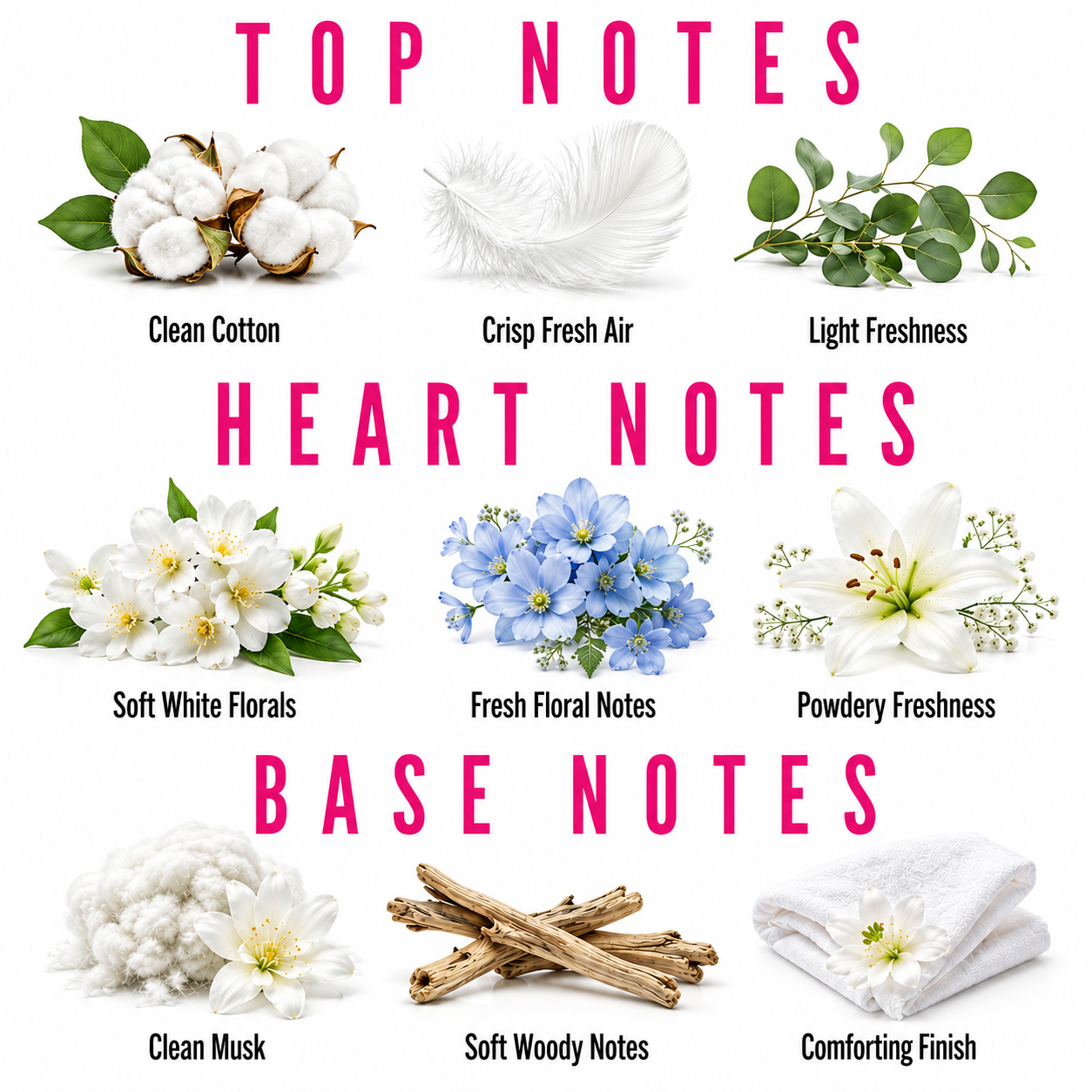 A fragrance notes graphic titled with TOP NOTES, HEART NOTES, and BASE NOTES in bright pink text. The top notes section shows cotton bolls, a white feather, and eucalyptus leaves labeled Clean Cotton, Crisp Fresh Air, and Light Freshness.