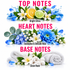 A fragrance-themed graphic with three scent categories labeled TOP NOTES, HEART NOTES, and BASE NOTES in bright pink text on a white background. Top Notes show bright citrus and blue water droplets; Heart Notes show blue and white flowers with green leaves; Base Notes show rolled white towels and soft white flowers.