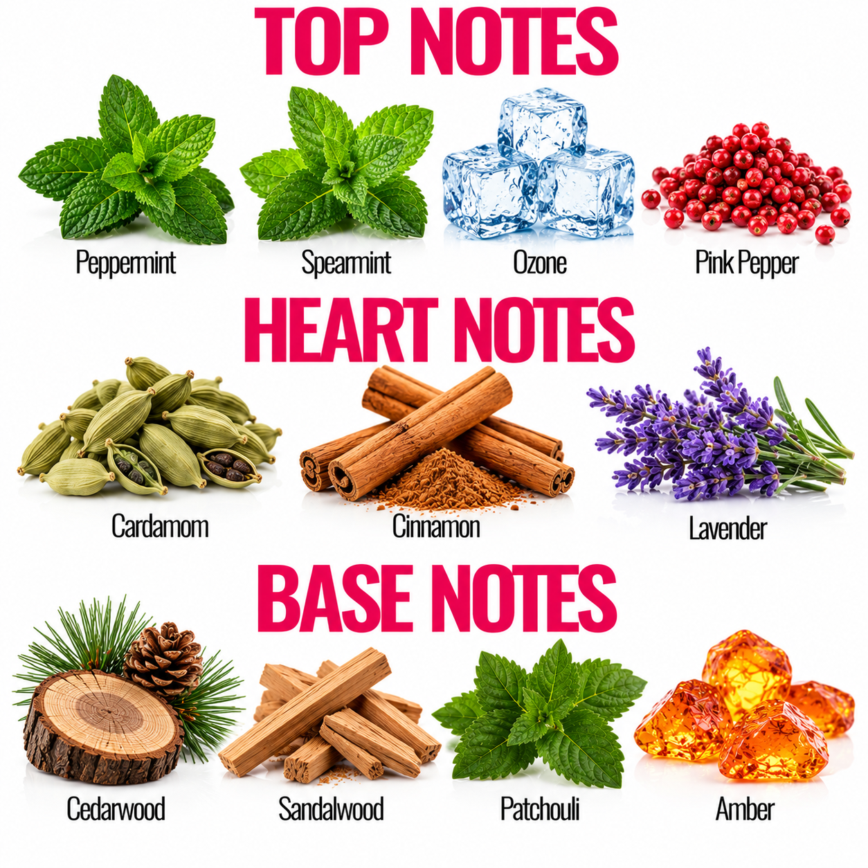 A fragrance notes graphic with three labeled sections: TOP NOTES, HEART NOTES, and BASE NOTES. Each section shows a small photo of a scent ingredient, including peppermint, spearmint, ozone, pink pepper, cardamom, cinnamon, lavender, cedarwood, sandalwood, patchouli, and amber, with the names printed below.