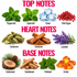 A fragrance notes graphic with three labeled sections: TOP NOTES, HEART NOTES, and BASE NOTES. Each section shows a small photo of a scent ingredient, including peppermint, spearmint, ozone, pink pepper, cardamom, cinnamon, lavender, cedarwood, sandalwood, patchouli, and amber, with the names printed below.