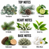A fragrance scent profile graphic showing top, heart, and base notes with labeled botanical illustrations: Eucalyptus, frosted pine, bergamot, fir needle, lily of the valley, green tea, cedarwood, oakmoss, and white musk.