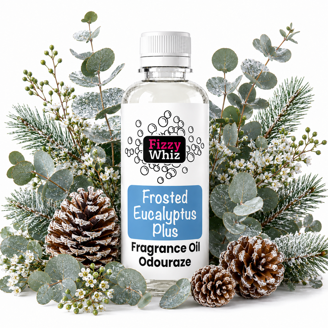 A bottle of Fizzy Whiz 'Frosted Eucalyptus Plus' fragrance oil, surrounded by decorative natural elements including eucalyptus leaves, pinecones, and frosted winter flowers on a white background.