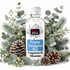 A bottle of Fizzy Whiz 'Frosted Eucalyptus Plus' fragrance oil, surrounded by decorative natural elements including eucalyptus leaves, pinecones, and frosted winter flowers on a white background.