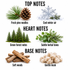 Frosted Pine Fragrance Oil notes featuring fresh pine needles, cool winter air, green forest notes, subtle herbal tones, soft woods and gentle musk on a clean white background.