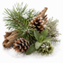 A styled arrangement of natural winter elements on a white background, including pine needles, two pinecones dusted with snow, pieces of driftwood, green leaves, and textured white faux snow.