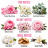 A fragrance notes graphic on a white background with pink headers reading TOP NOTES, HEART NOTES, and BASE NOTES. Each section shows floral and botanical illustrations with labeled scents: frosted rose petals, fresh floral lift, cool clean freshness, delicate florals, gentle sweetness, soft peony, clean musk, sandalwood, and smooth vanilla.