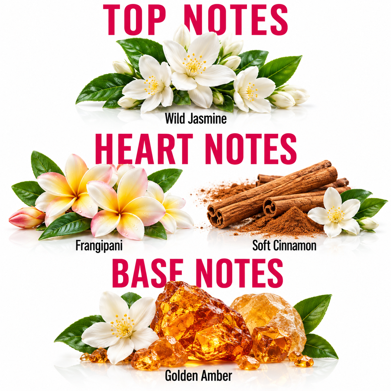 A fragrance notes graphic with three labeled sections: Top Notes showing white wild jasmine flowers, Heart Notes showing pink-and-white frangipani flowers and cinnamon sticks, and Base Notes showing amber crystals with white jasmine flowers. Large pink text reads 'TOP NOTES,' 'HEART NOTES,' and 'BASE NOTES' on a white background.